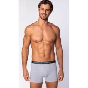 Boxer Lupo 523 Cinza Mescla