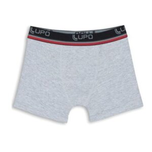 Boxer Lupo 141 Cinza Mescla