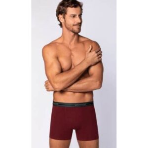 Boxer Lupo 523 Marsala 01