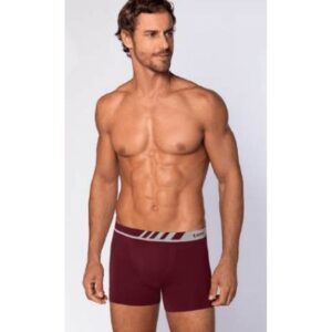 Boxer Lupo 671 Vinho